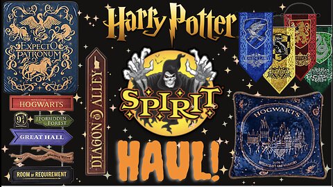 Harry Potter Spirit Halloween Haul!