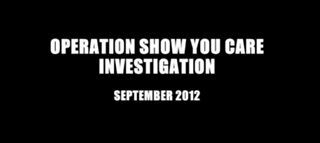 Previous Report: Operation Show You Care investigation part 1