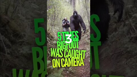 5 times bigfoot was caught on camera. Which one are you most skeptical of? #bigfoot #caughtoncamera