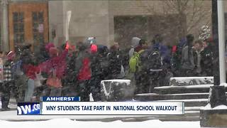 WNY schools participate in national walkout