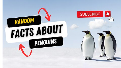 Interesting Facts About Penguins — Animal Education