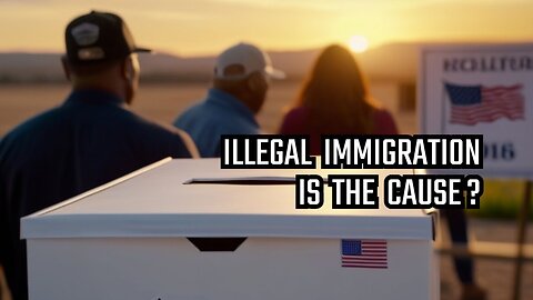 Illegal Immigration Is The Most Important Issue This Election
