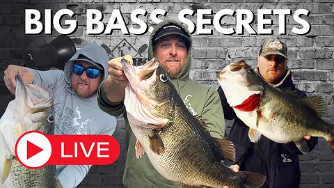 Catch the biggest bass of your life