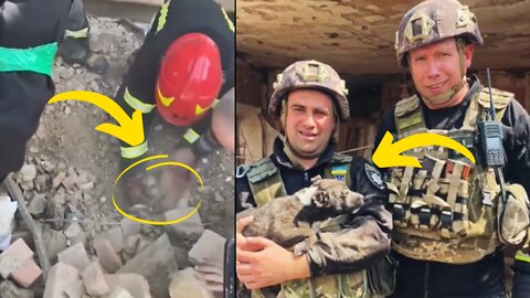 Ukraine Forces Hurry to Save PUPPY THAT WAS BURIED ALIVE After Russian Attack