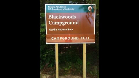 Blackwoods Campground in Acadia National Park Maine