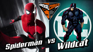 SPIDERMAN Vs. WILDCAT - Comic Book Battles: Who Would Win In A Fight?