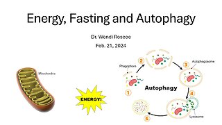 Autophagy, an effective method to promote healing