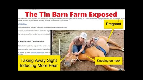 The Tin Barn Farm Abuse Exposed - Horse Traders Love Uninformed Buyers