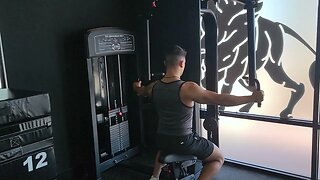 Seated Machine Rear Delt Fly