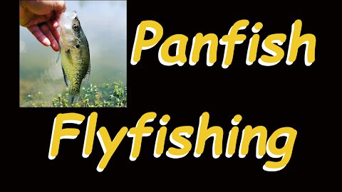 Panfish on the Fly