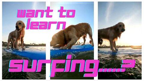Do you know surfing ? He can teach you.