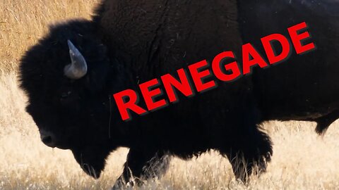 RENEGADE