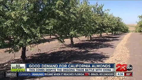 Ag Report: Strong demand for almonds, hail damages tomato crop and new top apple