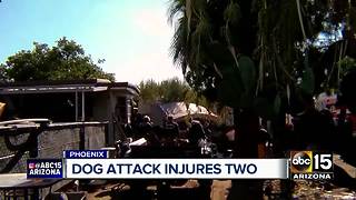 Multiple dogs attack 2 people in Phoenix