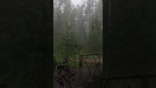 Listen to Heavy Rain Sounds - Sleep, meditate Study, Relax | Ambient Noise Rainstorm #shorts