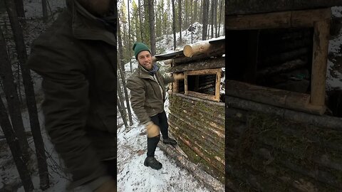 Getting the windows frames for our bushcraft shelter #bushcraftshelter #bushcraft #shelterbuilding