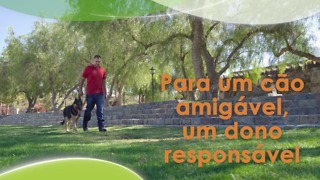 Para um cão amigável, um dono responsável.