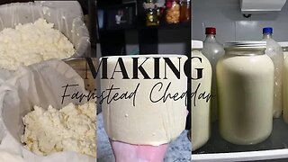 How to Make Easy Farmstead Cheese | Raw Milk Cheese Making