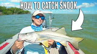 How To Catch Snook with Mullet - Fishing with Live Bait