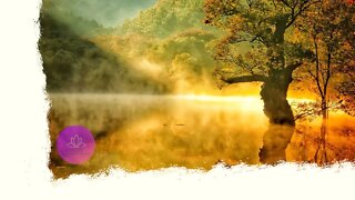Relaxing Music with Nature Sounds of Forest | Calming Music | Meditation Music
