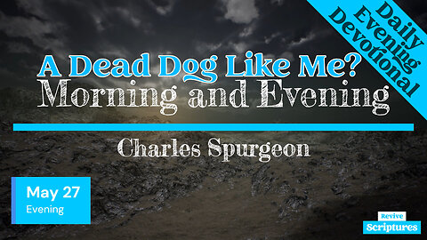 May 27 Evening Devotional | A Dead Dog Like Me? | Morning and Evening by Charles Spurgeon