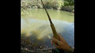 trying to fly fish at this pond