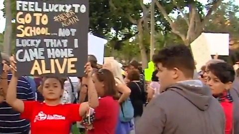 End Gun Violence in America rally