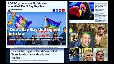 USA Gay Mafia Attack So Called Don't Say Gay Law Silent About Ukraine Anti Gay Nazi Azov Battalion