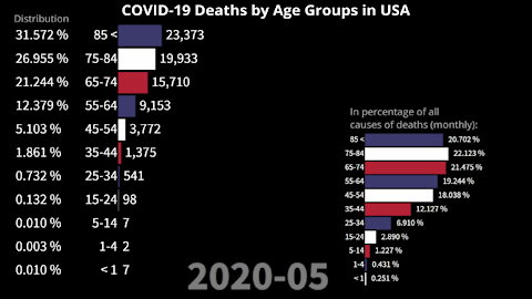 COVID-19 Deaths by Age Groups | USA