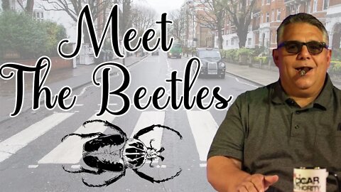Meet the Beetles... The Cigar Beetles