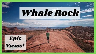 Whale Rock Hike