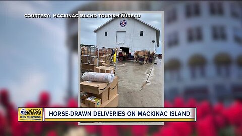 Horse-drawn deliveries on Mackinac Island