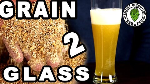How to brew a blueberry wheat beer. Grain to glass