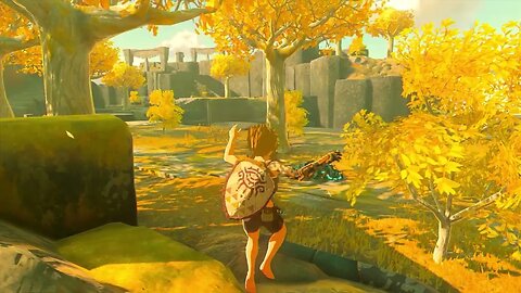 Zelda Tears of the Kingdom - Old Wooden Bow