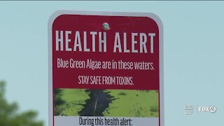 Researchers trying to find ways to mitigate blue-green algae as it begins to reappear