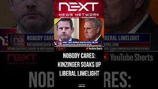 NOBODY CARES: Kinzinger Soaks Up Liberal Limelight #shorts