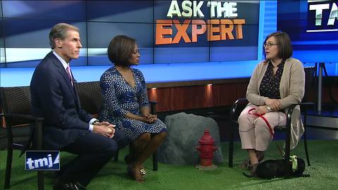 Ask the Expert: Adopting barn cats