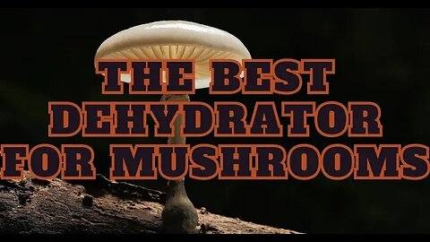 Best Dehydrator for Mushrooms