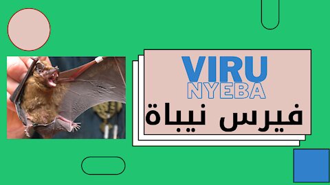 Virus Nyeba