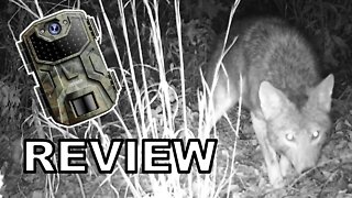 izeeker Trail cam 20 megal pixel review