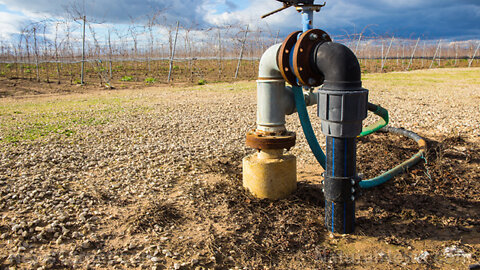 California’s Ongoing Drought Has Left Over Half A Million Acres Of Farmland Unplanted