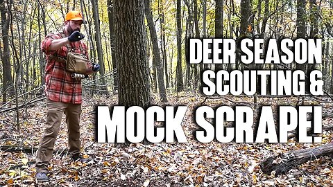 Deer Scouting and a Mock Scrape!