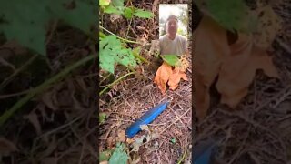 Blue Feather from our Sacred Winged Nation the Scrub Jay for our Equinox Celebration