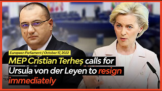 MEP Cristian Terheș Calls for the Immediate Resignation of Ursula von der Leyen