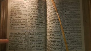Psalm1 Bible Reading 24October