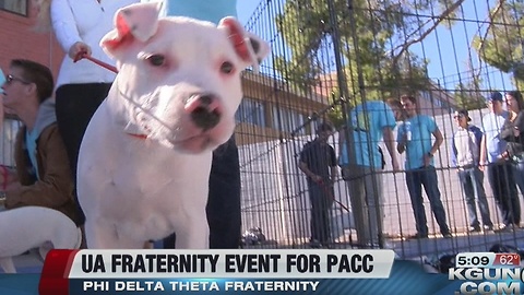 University of Arizona Phi Delta Theta hosts fundraiser for Pima Animal Care Center