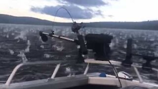 Golf ball-sized hail ruins fishing trip