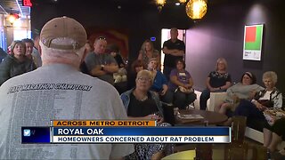 Royal Oak residents concerned over rat problem