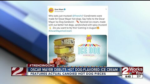 Oscar Mayer debuts hot dog flavored ice cream