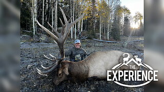 The Boulder Elk Experience with TJ Sanchez - The Experience